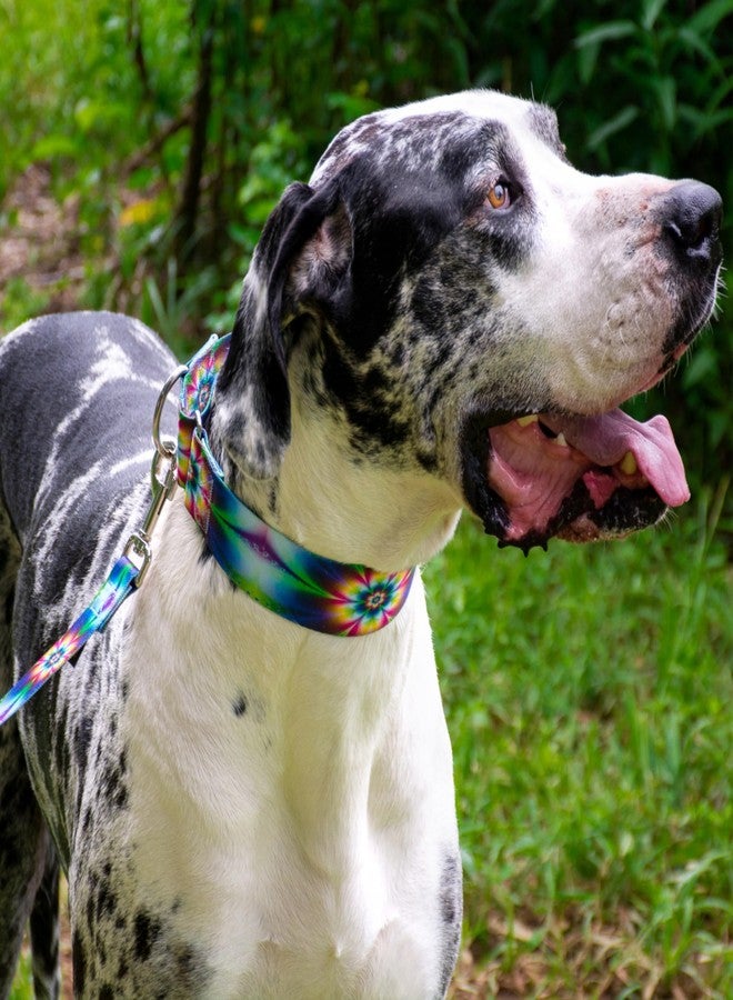 كانتري بروك ديزاين طوق مارتينجال عريض للكلاب من Country Brook Petz - HossFit Jr - مجموعة رائعة تتميز بتصاميم مميزة (زهور مصبوغة بربطة عنق، متوسط) - Image 2